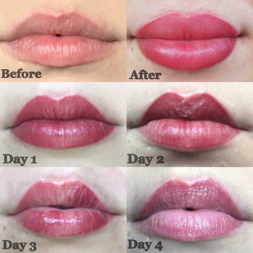 Lip blush healing stages  Elfreda Beauty